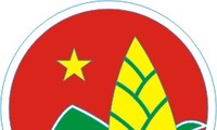 Menggelarkan program pekerjaan Barisan Anak-Anak Pioner dan gerakan anak-anak tahunajar 2013-2014